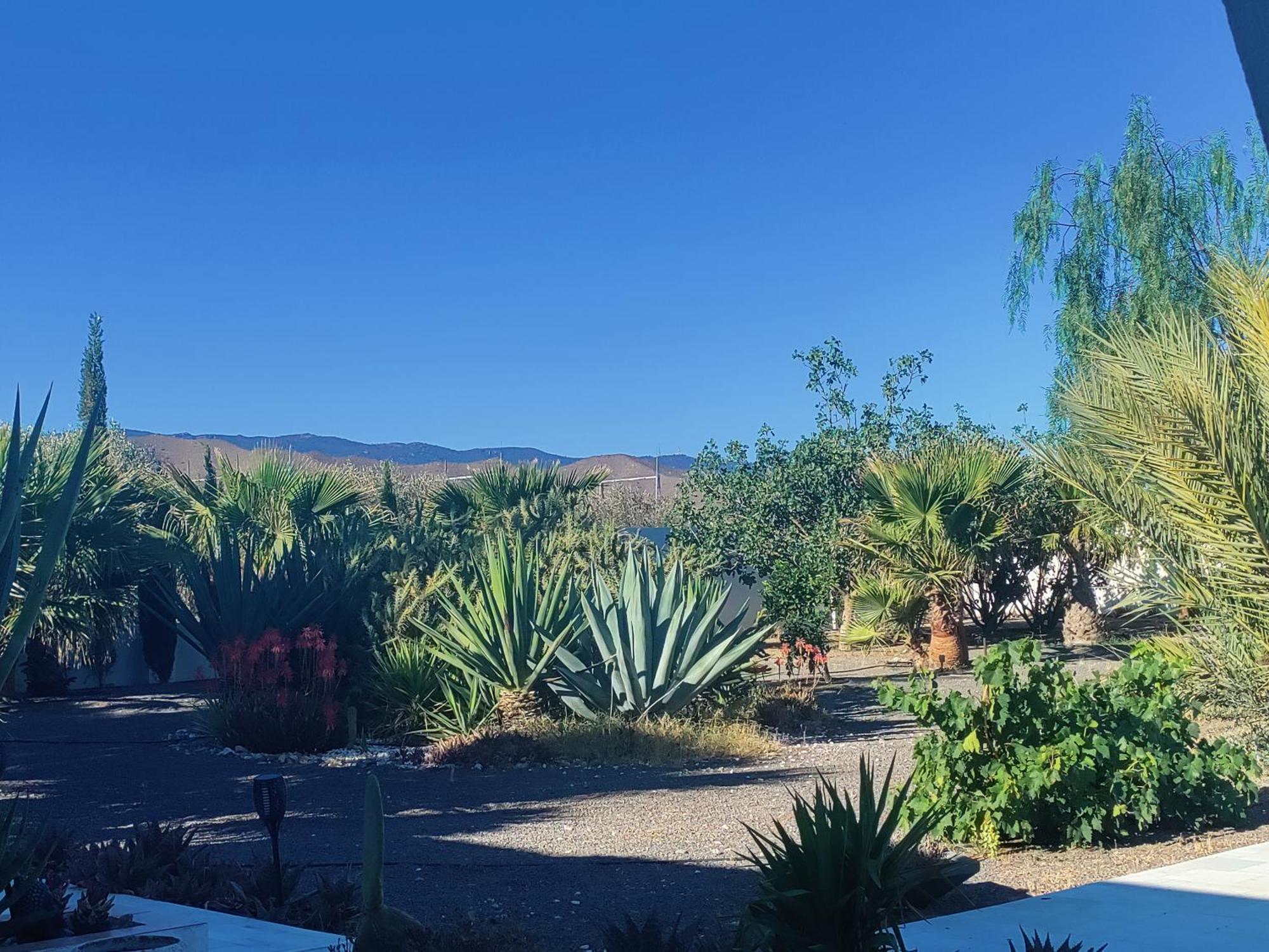 Cortijo Oro Verde B&B Tabernas Exterior photo